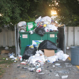 Waste Containers Dumpster Services-Greeley’s Premier Dumpster Rental & Roll Off Services